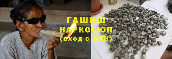 амф Бородино