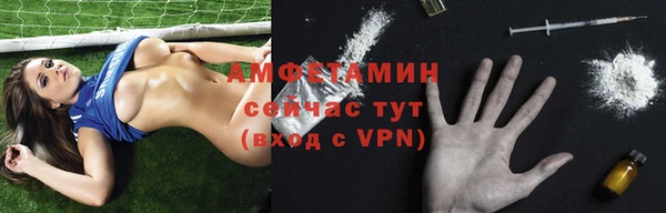 амф Бородино