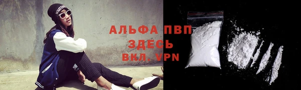 стаф Верхний Тагил