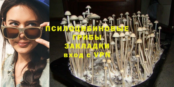 mdpv Бронницы