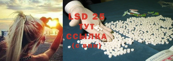 твердый Туринск