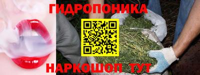 гашик Ливны