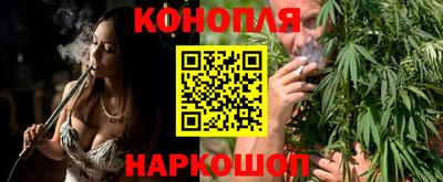 гашик Ливны